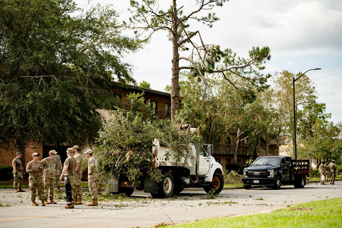 People loading a truck with tree limbs