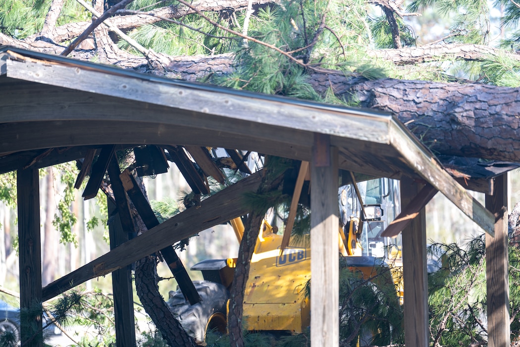 A tree laying on a pavilion