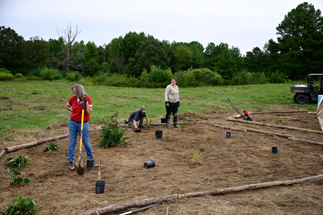 People place native plants in a garden