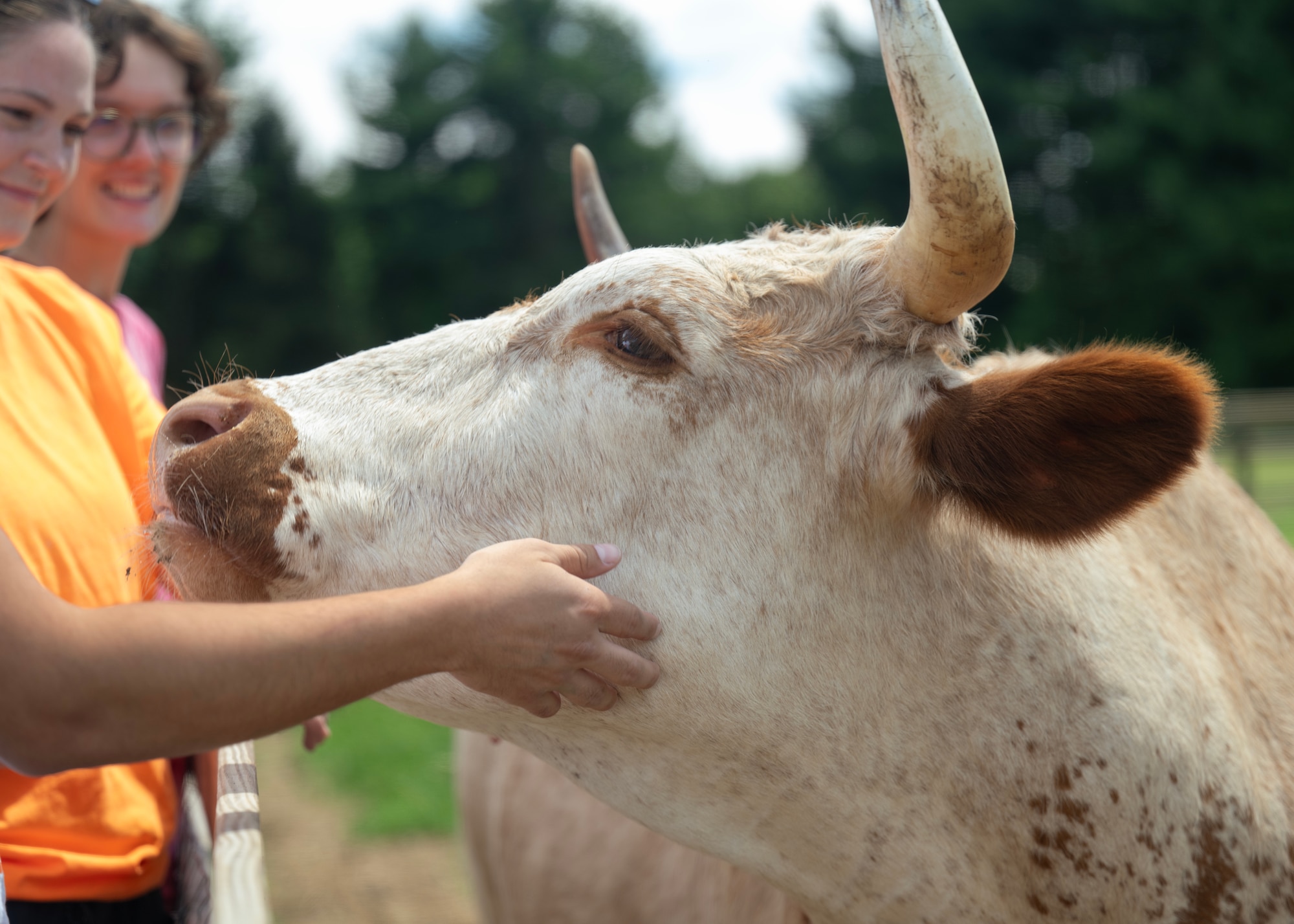 A  group of people stand near a cow.