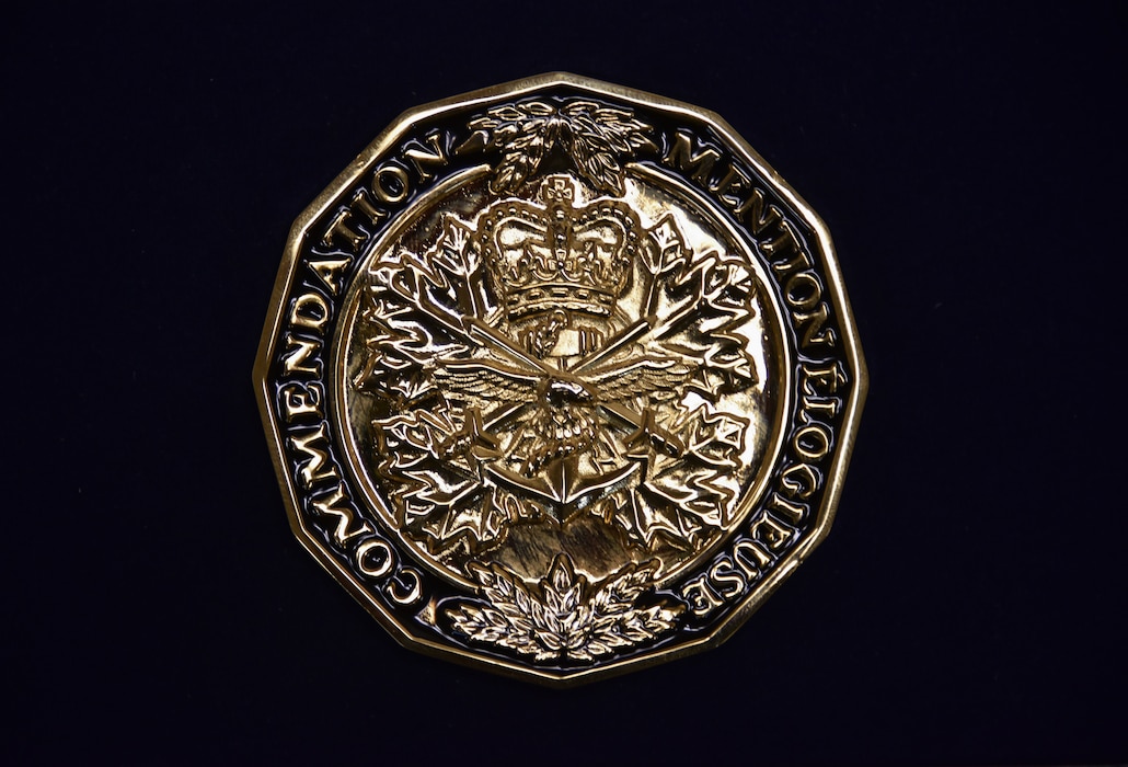 A twelve-sided gold-colored medallion bearing the symbols of the three services: the anchor, the crossed swords, and the flying eagle topped by the royal crown, is shown against a black background.