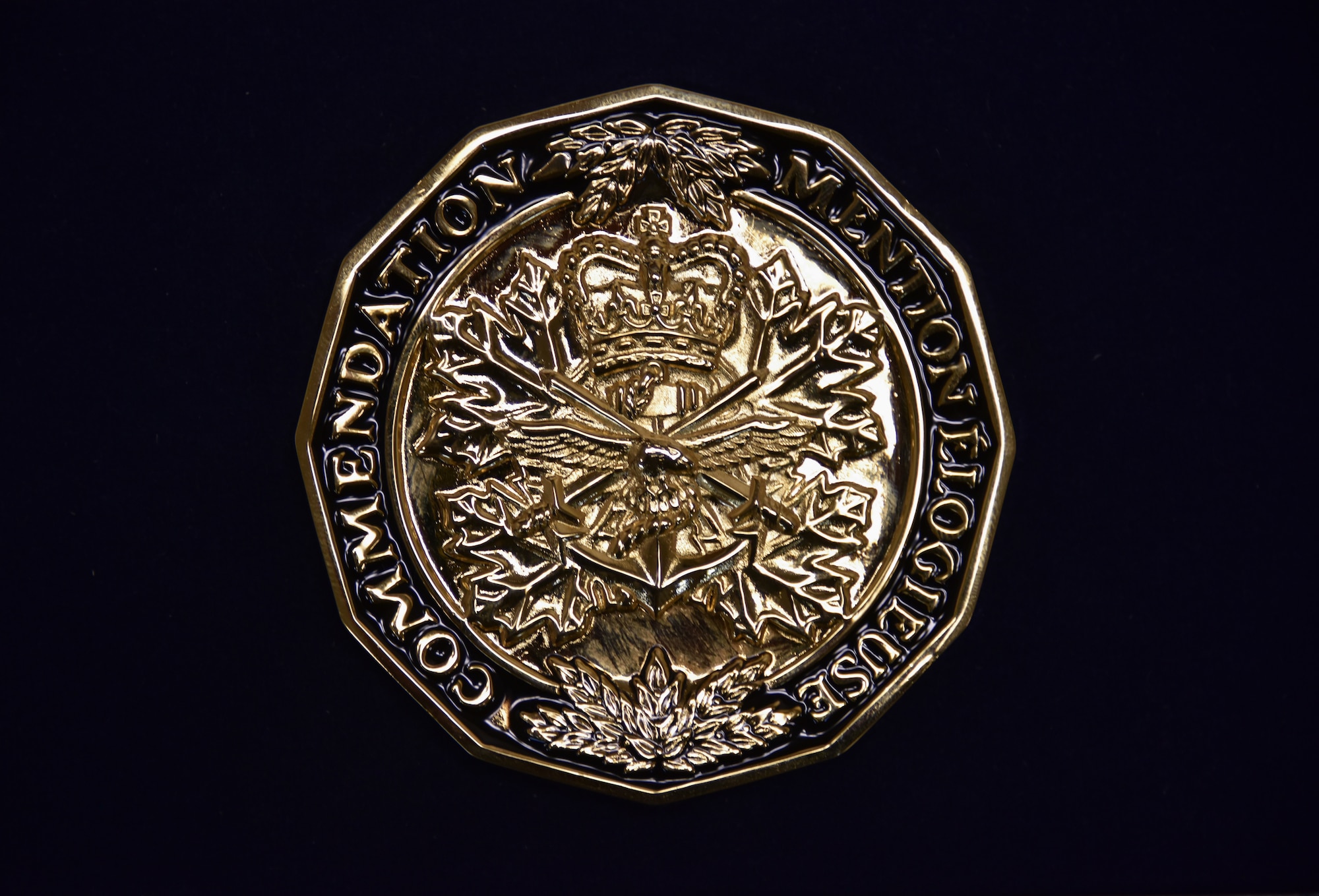 A twelve-sided gold-colored medallion bearing the symbols of the three services: the anchor, the crossed swords, and the flying eagle topped by the royal crown, is shown against a black background.