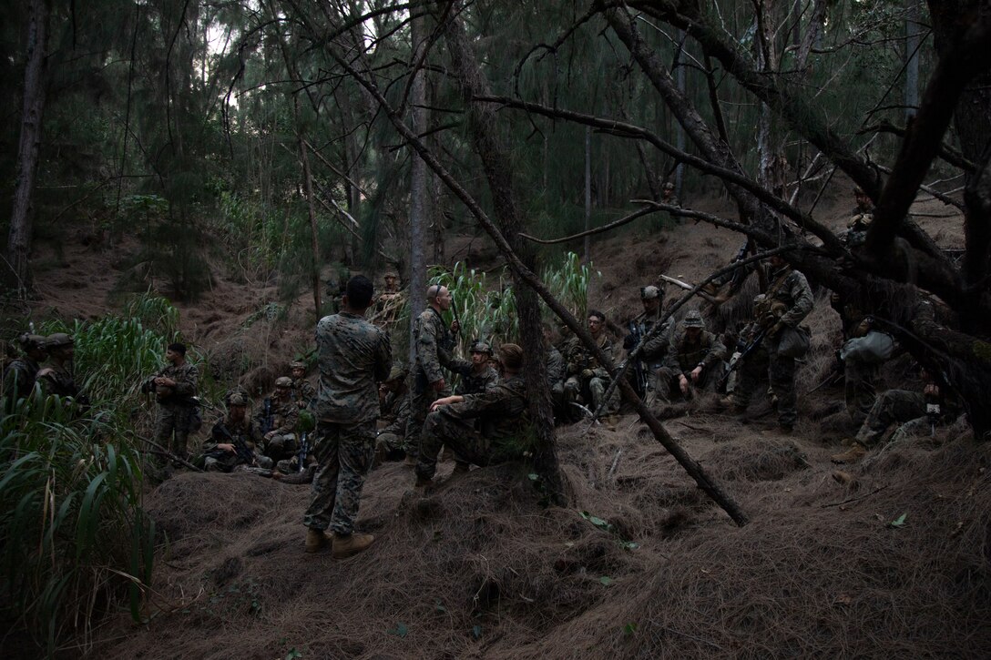 U.S. Marines with Advanced Infantry Training Battalion, School of Infantry-West, Hawaii Detachment, receive a brief on patrol base vertailities by the course staff during an Advanced Infantry Marine Course, Kahuku Training Area, Hawaii, June 26, 2023. AIMC is advanced infantry training designed to enhance and test Marines’ skills with a focus on reinforcing proper patrols and operational procedures. (U.S. Marine Corps photo by Lance Cpl. Terry Stennett III)