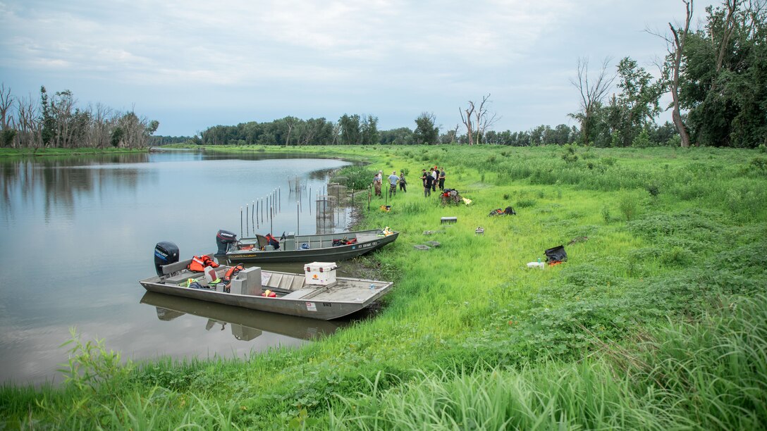 Aquatic Vegetation Planting at Huron Island on the Mississippi River