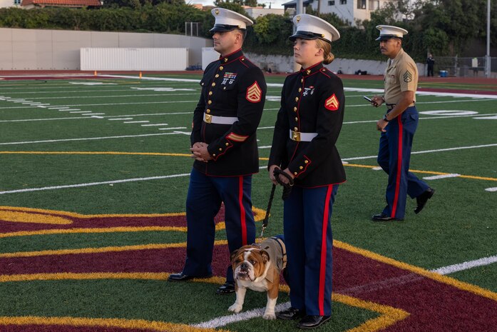 U.S. Marine Corps Staff Sergeant Evan Nichols, canvasing recruiter with Sub-Station National City, Recruiting Station San Diego (left), and Cpl. Sarah Grawcock, a combat photographer at Marine Corps Recruit Depot San Diego (right) and Lance Cpl. Bruno, the mascot for Marine Corps Recruit Depot San Diego and the Western Recruiting Region (middle), participate in a coin flip ceremony for the Point Loma High School football game, San Diego, California, Aug. 23, 2024. The mascots job is to boost morale, participate in outreach work, and attend events and ceremonies. (U.S. Marine Corps photo by Lance Cpl. Jacob B. Hutchinson)
