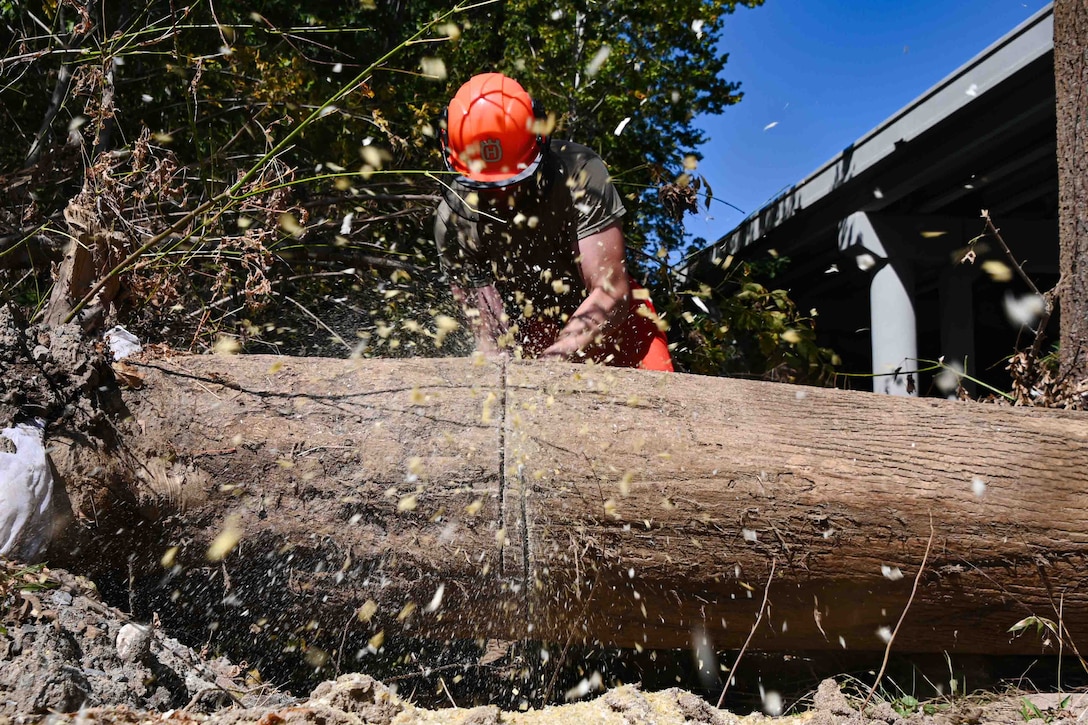 A National Guardsman wearing a hard hat uses a chainsaw to cut through the large trunk of a fallen tree. A highway overpass is seen in the background.