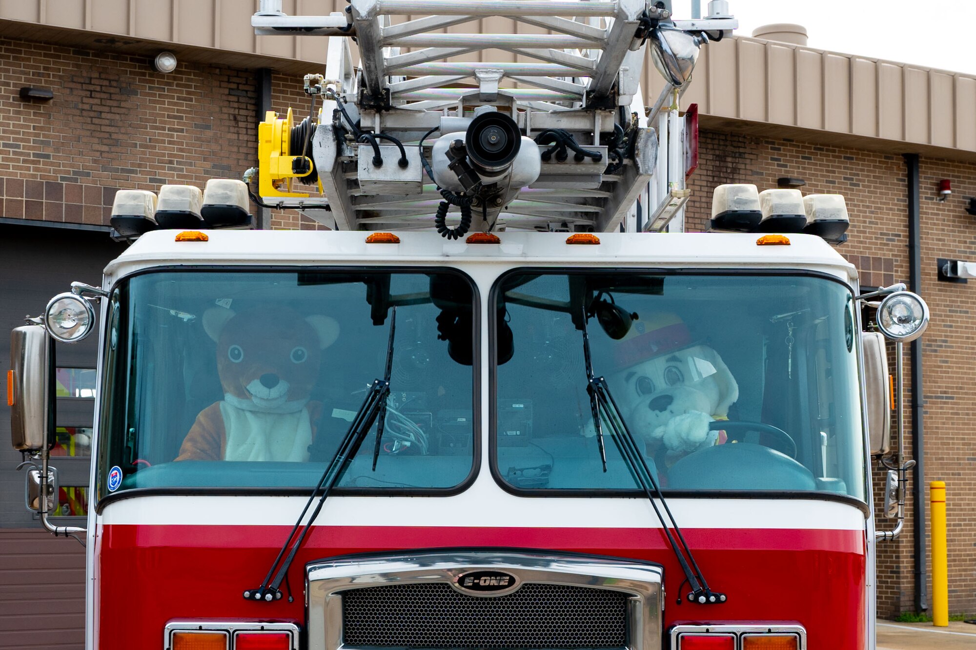 Two mascots sit inside a fire truck.