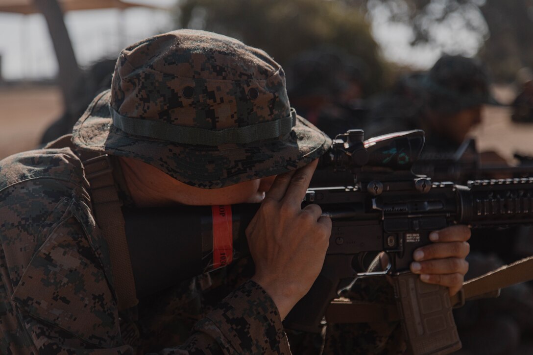 A U.S. Marine Corps recruit with Bravo Company, 1st Recruit Training Battalion, sights in with his rifle during a grass week event at Marine Corps Base Camp Pendleton, California, Sept. 4, 2024. Recruits participated in grass week to hone their marksmanship skills by getting adjusted to their rifle’s equipment and sighting in on mock targets before moving on to the range for rifle qualification. (U.S. Marine Corps photo by Cpl. Elliott A. Flood-Johnson)