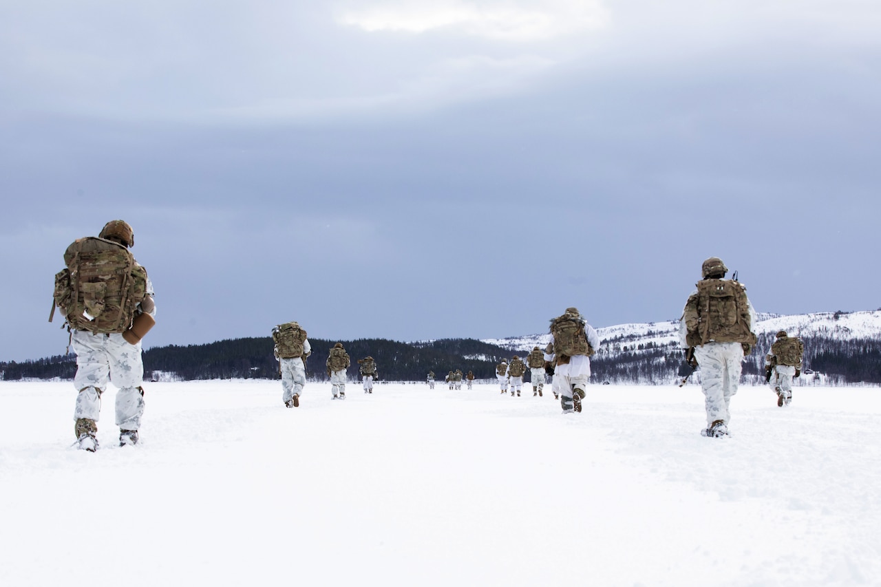 A group of soldiers wearing winter gear walk away from the camera in the snow.