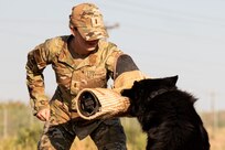 Lt. Marsh working with military working dogs