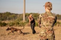 Lt. Marsh viewing a dog demo