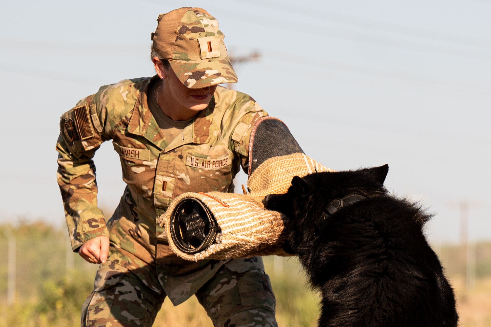 Lt. Marsh working with military working dogs