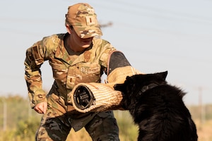 Lt. Marsh working with military working dogs