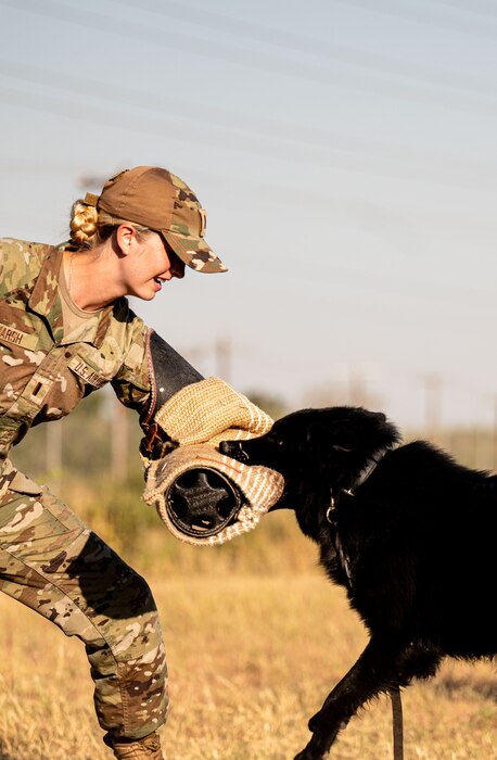 Lt. Marsh working with military working dogs.
