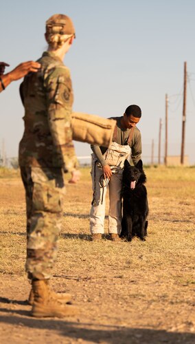 Lt. Marsh working with military working dogs