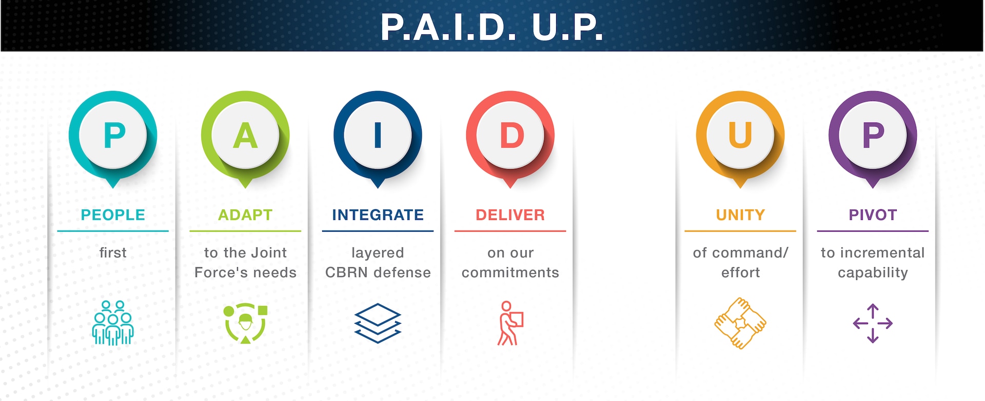 A graphic displays the acronym P - A - I - D U - P