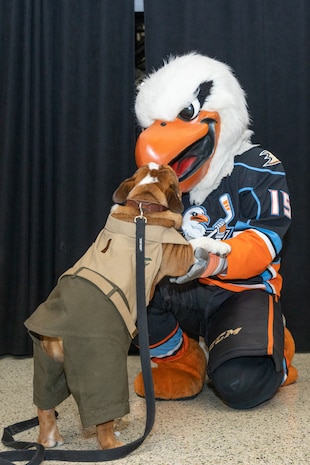 U.S. Marine Corps Lance Cpl. Bruno, the mascot for Marine Corps Recruit Depot San Diego and the Western Recruiting Region, left, meets the San Diego Gulls mascot, right, during a San Diego Gulls event at Pechanga Arena San Diego, California, Oct. 5, 2024. The Marines attended the event to help build community relations and give a shout out for MCRD San Diego’s upcoming event, the Boot Camp Challenge, which will take place on Oct. 19, 2024. (U.S. Marine Corps photo by Lance Cpl. Janell B. Alvarez)