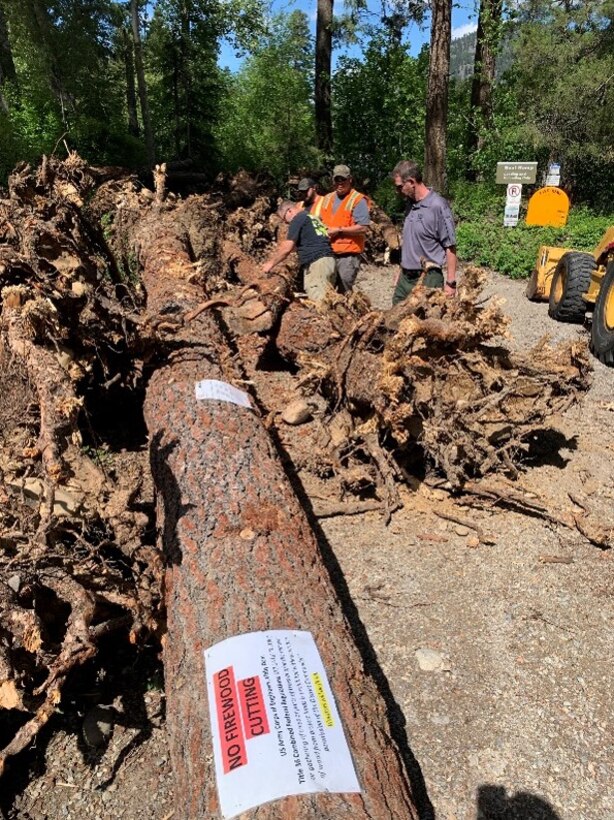 Team collects logs at burn piles. ID tags are used to track wood in the river as part of the monitoring phase of the project.