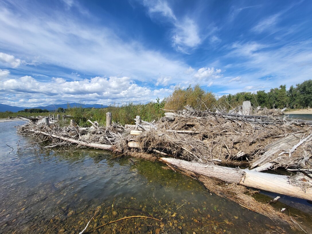 Large stretches bank stabilizing habitat features near Bonners Ferry, Idaho. The log structures collect natural materials, forming larger log jams. Together, they help stabilize the bank and create new habitats.
