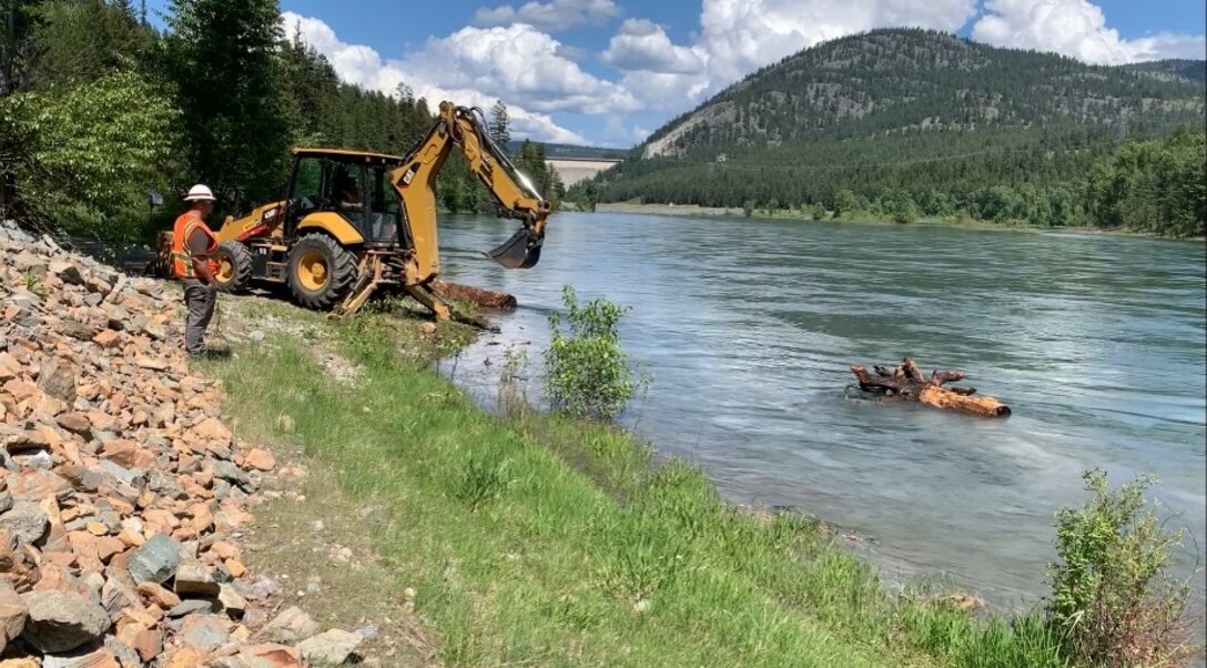 Photo of a tractor dumping logs into the Kootenai River, Libby Dam, in Libby, Montana. The logs were dumped as part of USACE's Engineering with Nature (EWN) program designed to help improve ecosystem function in the Kootenai River downstream of the dam.