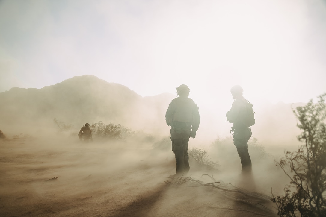 Three service members are photographed from behind in silhouette during training on a hazy day in a desert. Two are standing and one person is kneeling.