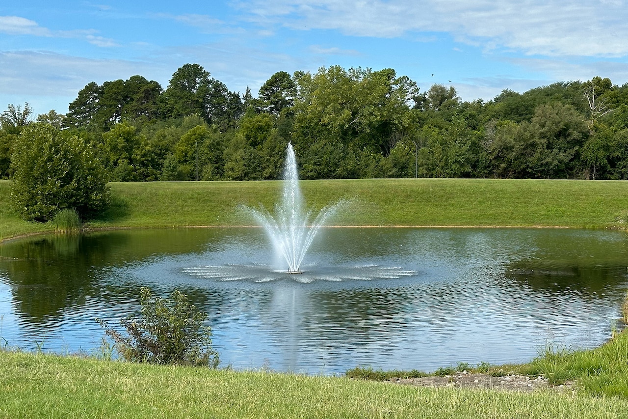A pond has a spray-water feature in the middle.