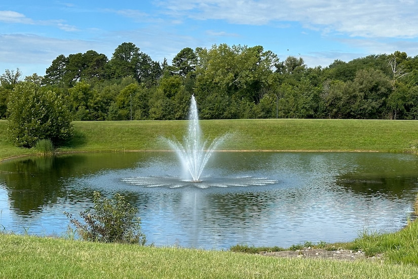 A pond has a spray-water feature in the middle.