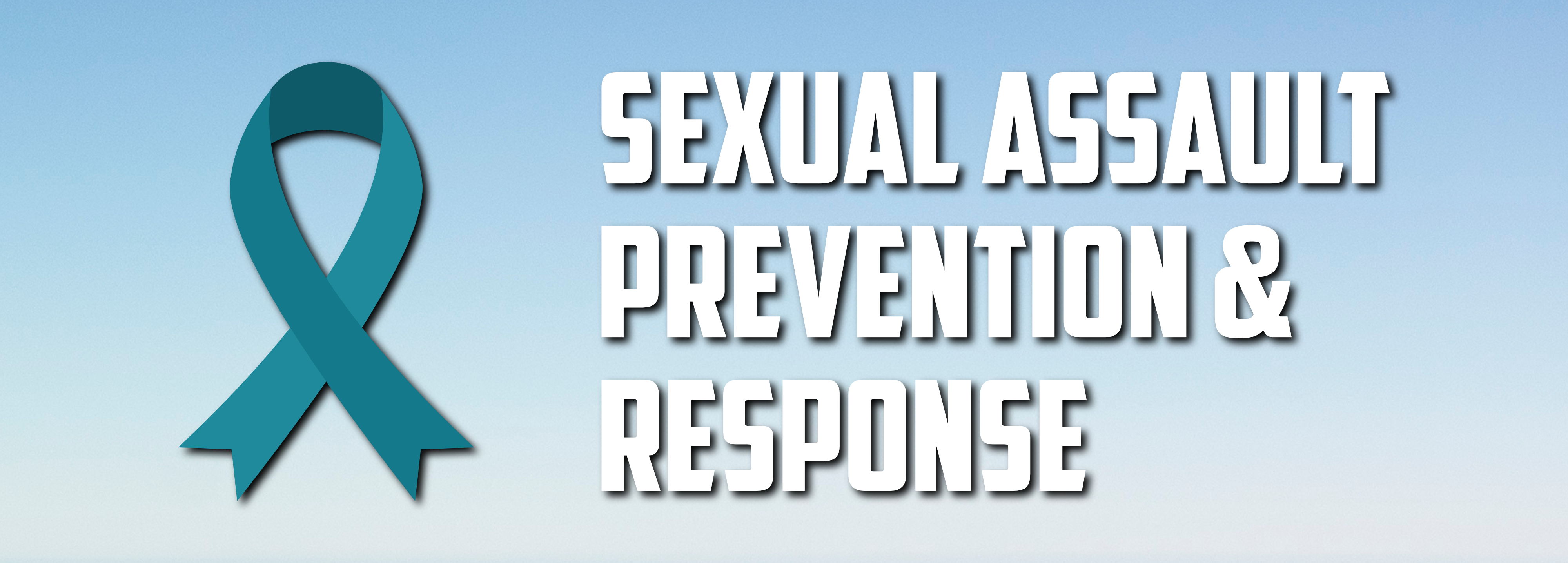 Sexual Assault Prevention & Response Link