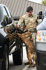 A canine participates in a detection exercise.