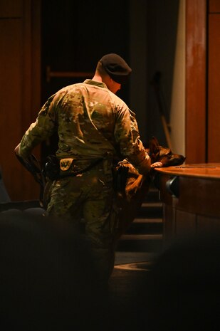 A canine participates in a detection exercise.