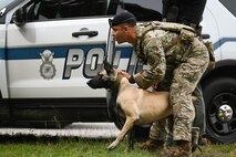 A canine gets ready for a takedown maneuver.