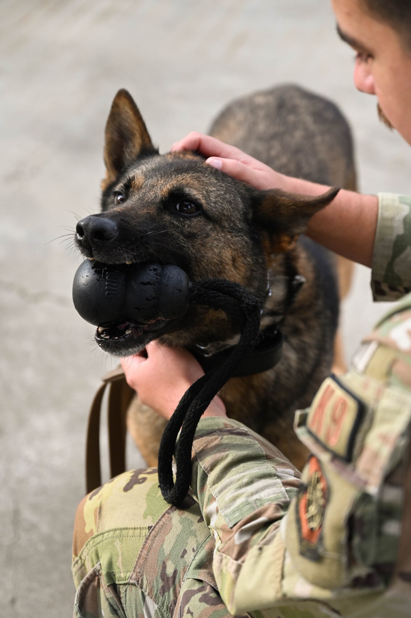 A canine handler pets their canine.