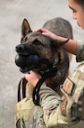 A canine handler pets their canine.