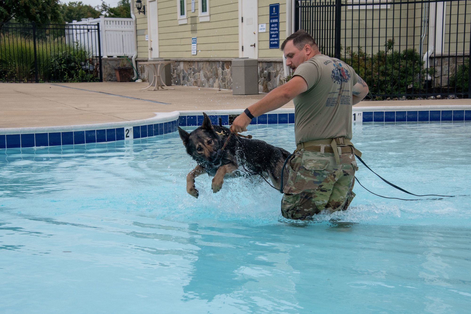 Dog bites toy in pool