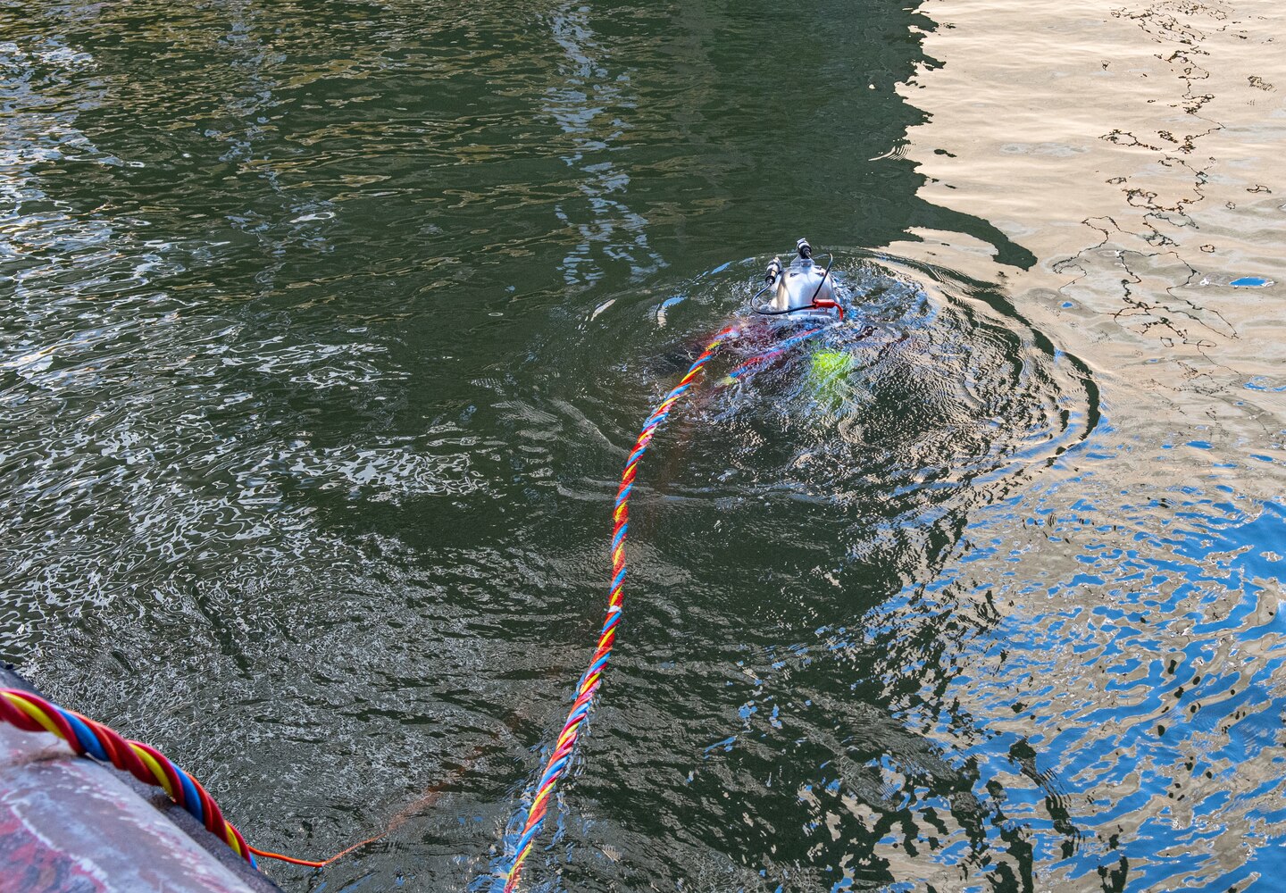 Ty Melton, a lock mechanic with the U.S. Army Corps of Engineers Nashville District, swims toward the land side gate of the main chamber at Wilson Lock in Florence, Ala., Oct. 9, 2024. Melton, like other lock mechanics, is dive-certified and can provide an up-close look at any underwater maintenance issues to facilitate repairs.