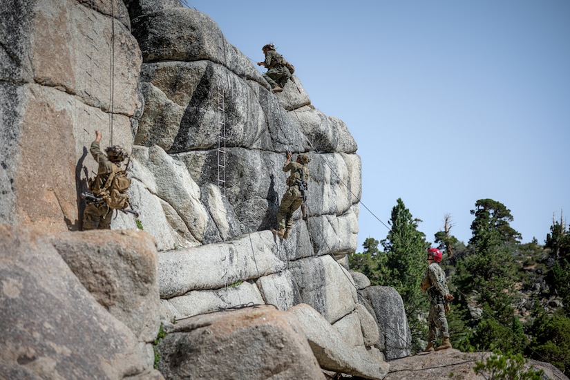 Marines with 2/1 conduct a suspension and traverse exercise
