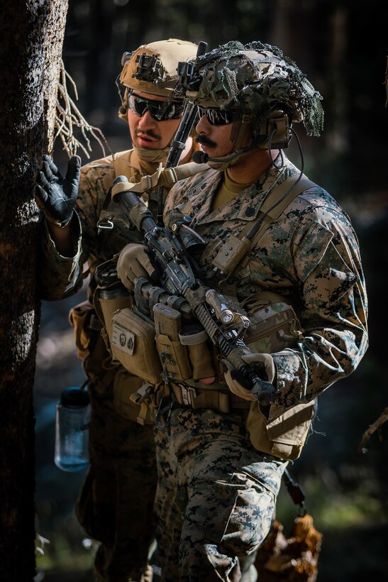 2/5 Marines conduct a patrol and simulated casualty evacuations during MTX 1-24