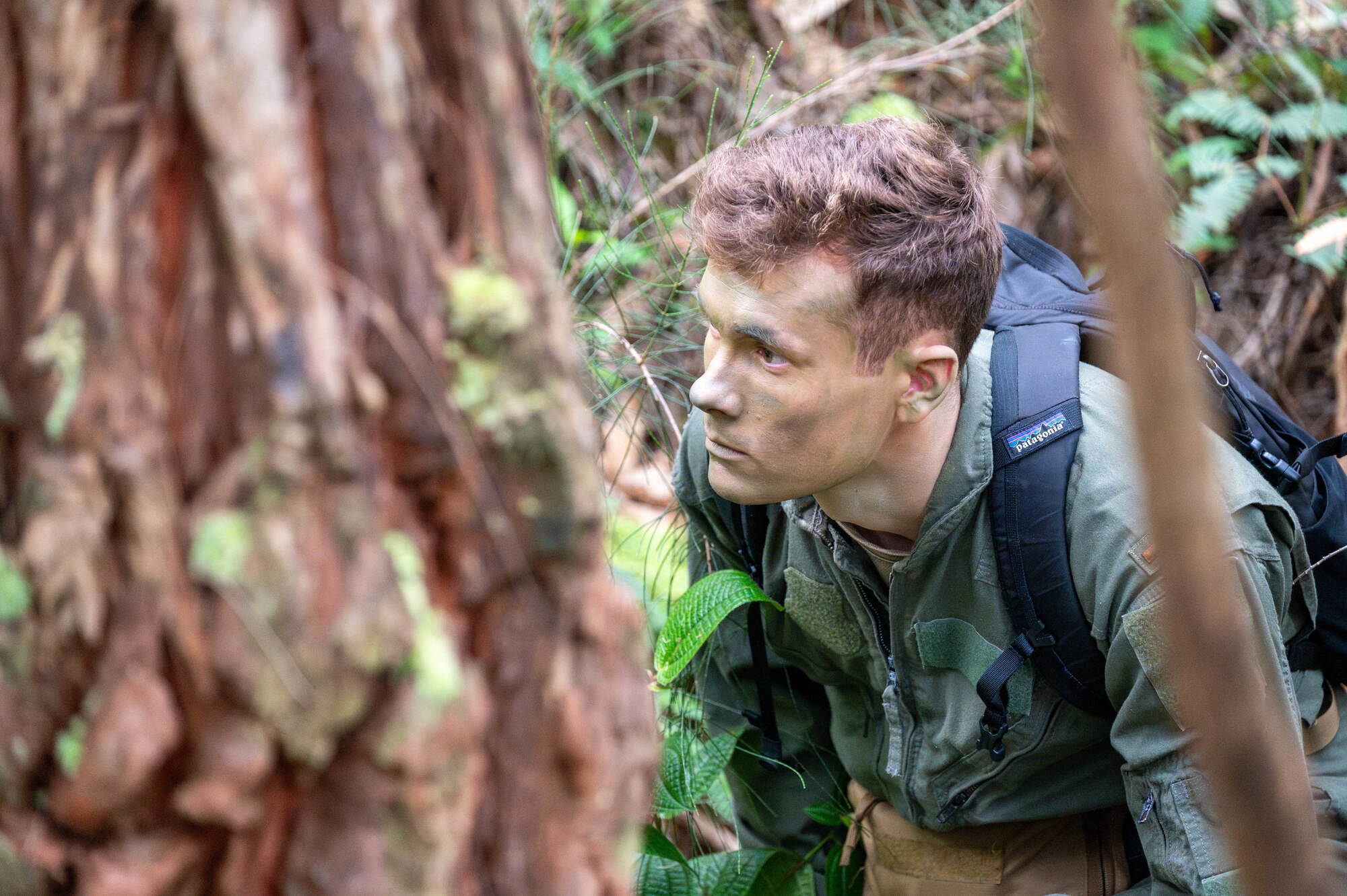 U.S. Air Force Airmen hides behind a tree during stealth training.