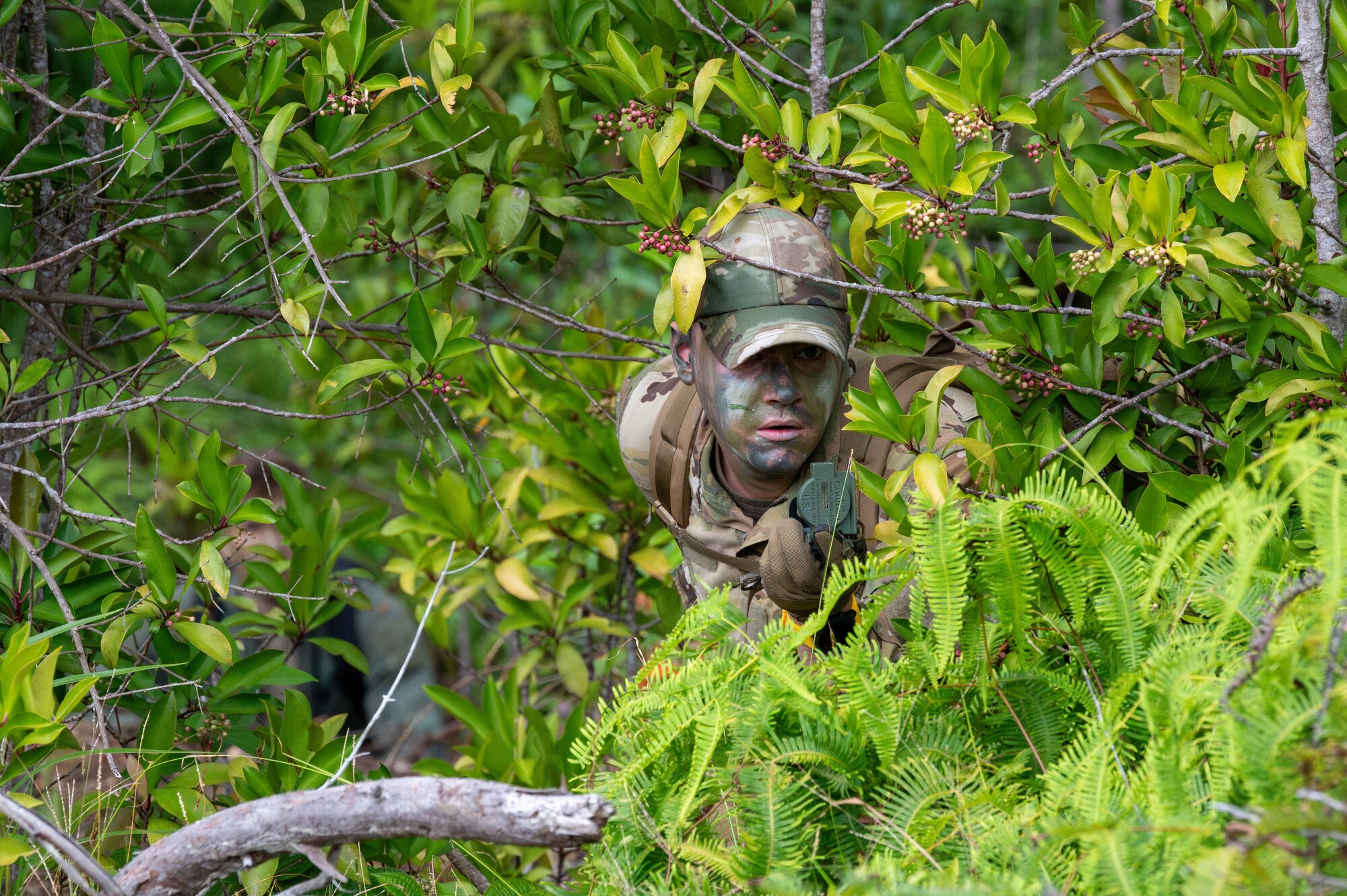 U.S. Air Force Airmen camouflages himself with tree leaves.