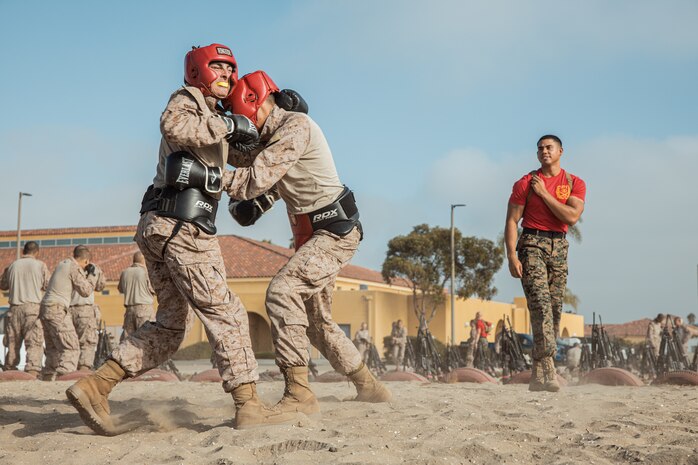 U.S. Marine Corps Sgt. Marvin Fuentes, a drill instructor with Alpha Company, 1st Recruit Training Battalion, observes a body sparring event at Marine Corps Recruit Depot San Diego, California, Sept. 30, 2024. Recruits are taught Marine Corps Martial Arts Program techniques that instill basic self-defense that they will execute throughout recruit training during events like body sparring and pugil sticks to help build a warrior ethos and esprit de corps. (U.S. Marine Corps photo by Cpl. Sarah M. Grawcock)