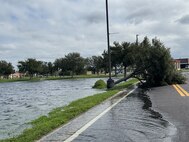 A downed tree is shown on a road at MacDill Air Force Base, Florida, following Hurricane Milton, Oct. 10, 2024. Milton brought strong winds and heavy rain to the installation, which downed trees and flooded some low-lying areas. The base’s Hurricane Recovery Team is working to restore the installation.