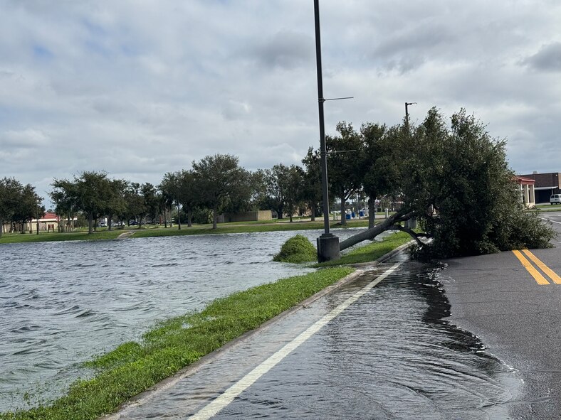 A downed tree is shown on a road at MacDill Air Force Base, Florida, following Hurricane Milton, Oct. 10, 2024. Milton brought strong winds and heavy rain to the installation, which downed trees and flooded some low-lying areas. The base’s Hurricane Recovery Team is working to restore the installation.