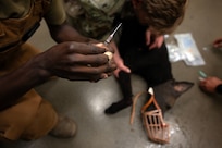 MWD handlers hone emergency care skills
