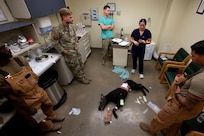 MWD handlers hone emergency care skills
