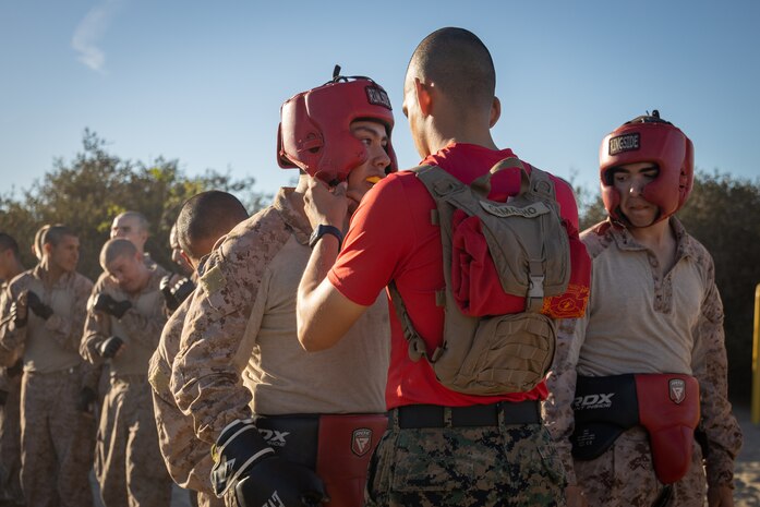 U.S. Marine Corps Sgt. Ricardo Camacho, a drill instructor with Alpha Company, 1st Recruit Training Battalion, adjusts recruits gear during a body sparring event at Marine Corps Recruit Depot San Diego, California, Oct. 21, 2024. Recruits are taught Marine Corps Martial Arts Program techniques, which instill basic self-defense that they will execute throughout recruit training during events like body sparring and pugil sticks to help build a warrior ethos and esprit de corps. (U.S. Marine Corps photo by Lance Cpl. Janell B. Alvarez)
