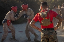 U.S. Marine Corps Sgt. Shuri T. Manning, a drill instructor with Alpha Company, 1st Recruit Training Battalion, observes a body sparring event at Marine Corps Recruit Depot San Diego, California, Oct. 21, 2024. Recruits are taught Marine Corps Martial Arts Program techniques, which instill basic self-defense that they will execute throughout recruit training during events like body sparring and pugil sticks to help build a warrior ethos and esprit de corps. (U.S. Marine Corps photo by Lance Cpl. Janell B. Alvarez)