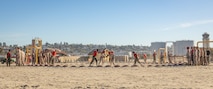 U.S. Marine Corps recruits with Alpha Company, 1st Recruit Training Battalion, participate in a body sparring event at Marine Corps Recruit Depot San Diego, California, Oct. 21, 2024. Recruits are taught Marine Corps Martial Arts Program techniques, which instill basic self-defense that they will execute throughout recruit training during events like body sparring and pugil sticks to help build a warrior ethos and esprit de corps. (U.S. Marine Corps photo by Lance Cpl. Janell B. Alvarez)