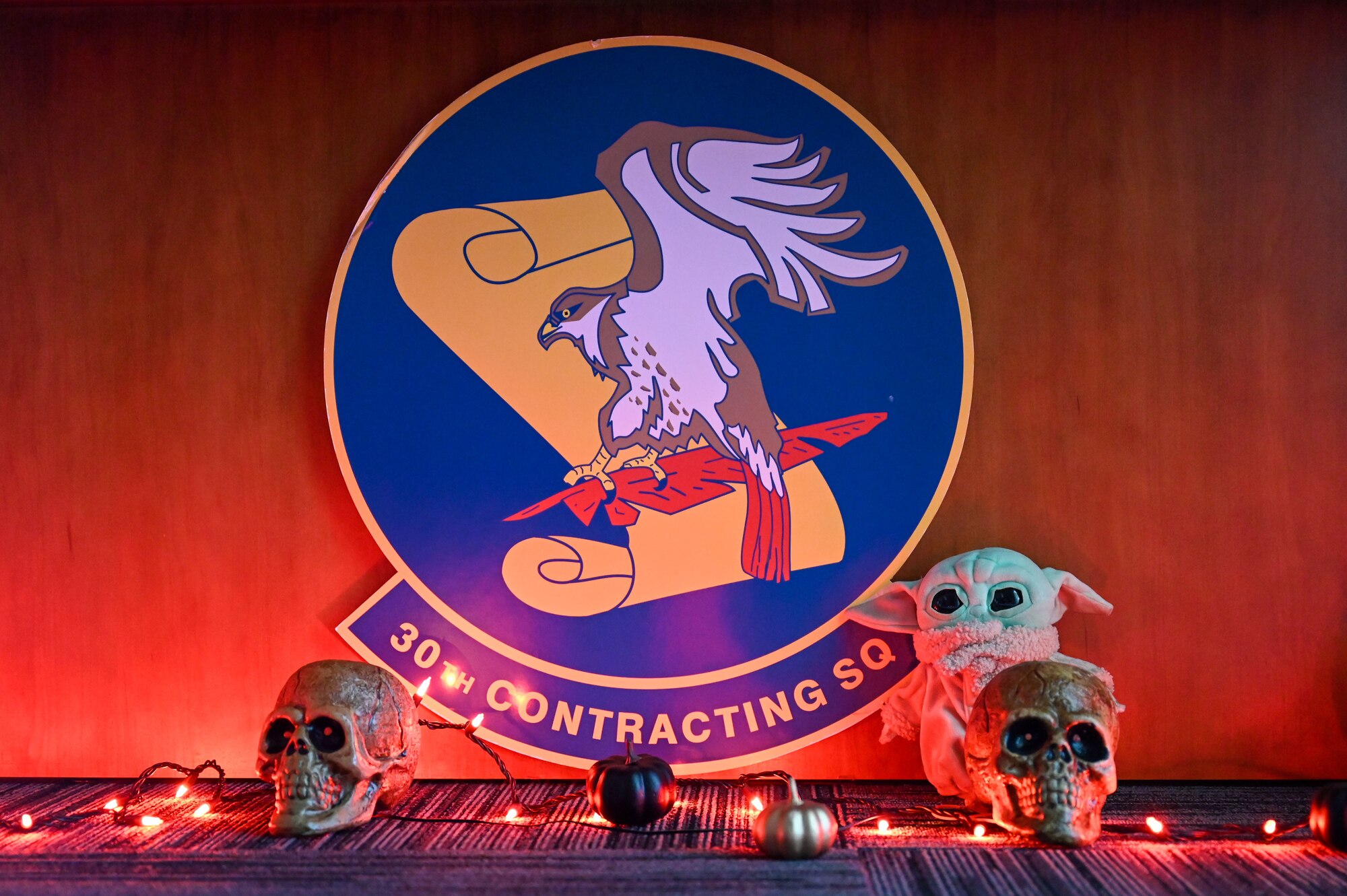 The 30th Contracting Squadron logo with lights.