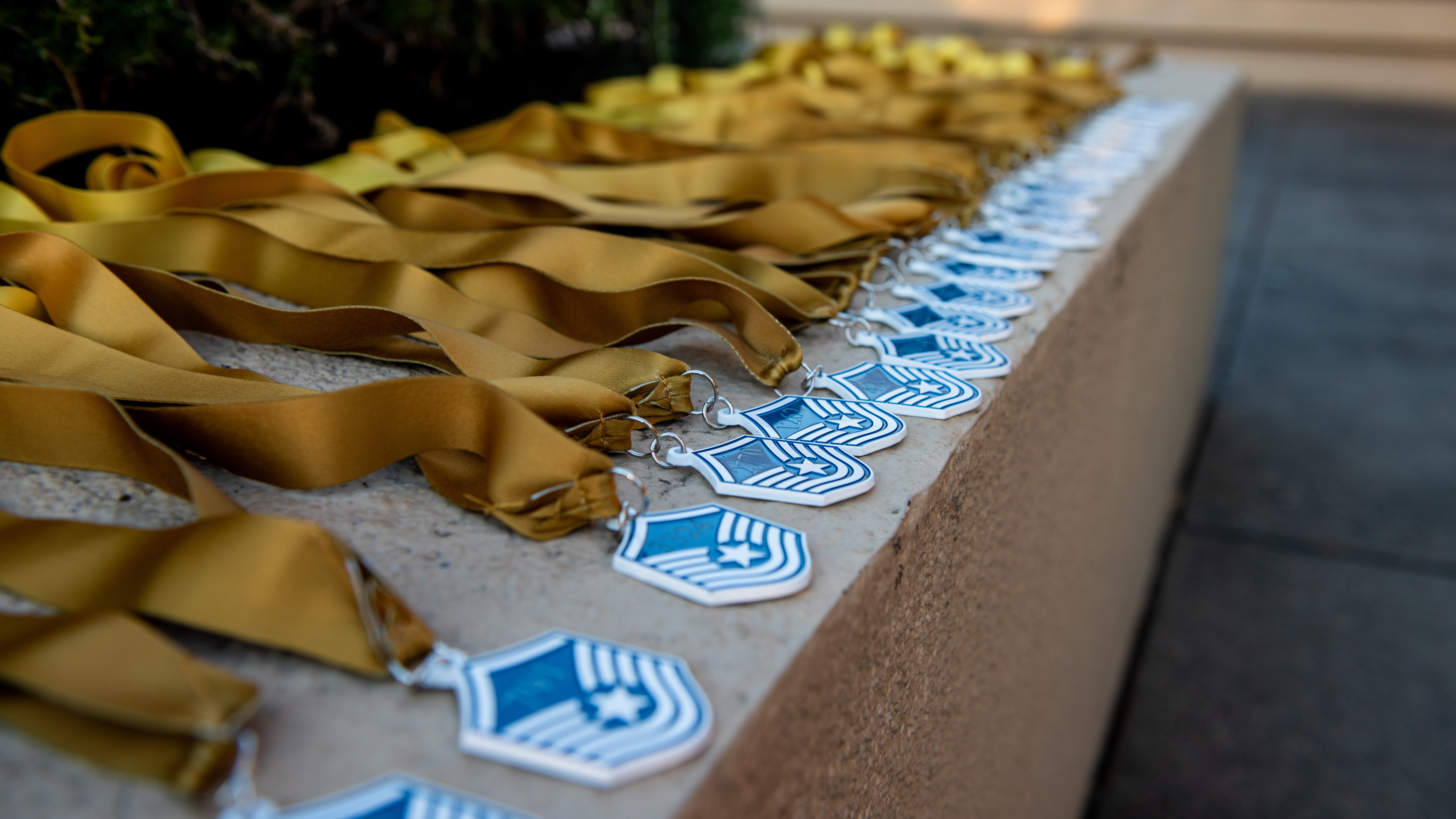 Travis AFB holds 2024 SNCO Induction ceremony > Travis Air Force Base >  Display