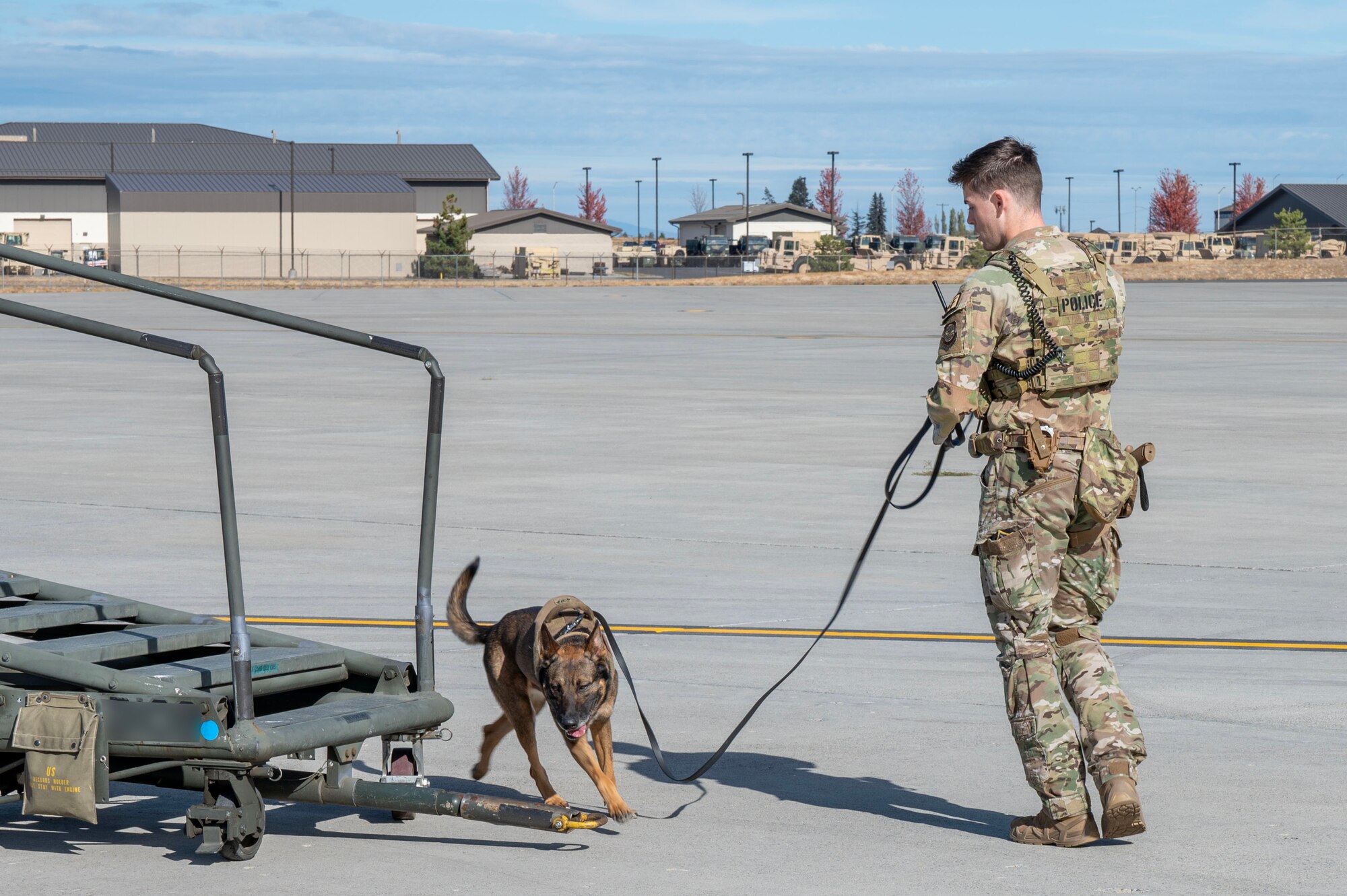 Sipo, a military working dog assigned to the 92nd Security Forces Squadron, and U.S. Air Force Senior Airman Lane Steed, a military working dog handler assigned to the 92nd SFS, search the flightline for explosive devices during exercise Mobility Response 25 in support of U.S. Strategic Command exercise Global Thunder 25 at Fairchild Air Force Base, Washington, Oct. 20, 2024. Sipo detected the area for explosive devices or debris that could harm the integrity of the flightline and the safety of its personnel. Mobility Response is an opportunity for Mobility Air Force to test their ability to respond to and simultaneously support multiple combatant commander’s requirements, such as USSTRATCOM’s reliable strategic deterrence force. (U.S. Air Force photo by Airman 1st Class Samantha Thorn) (This photo has been altered by blurring for operational security.)